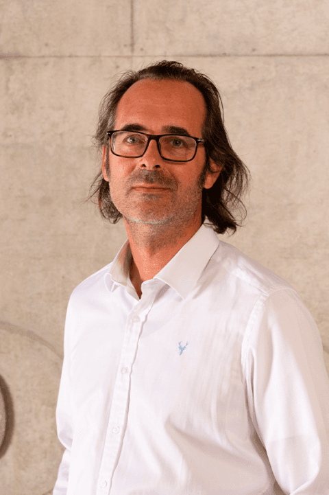 Thomas Wollenhaupt